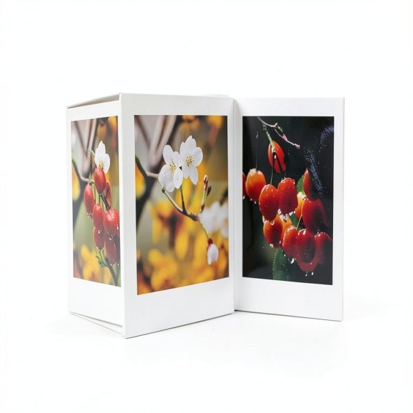 Instax Mini Photo Frame 2pcs Set by Distinctive Style Polycarbonate-1